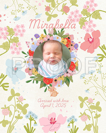Mirabella - 1