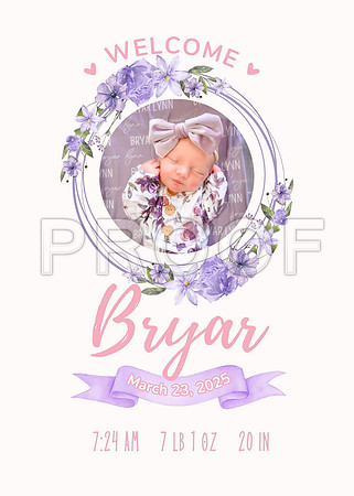 Bryar - 1