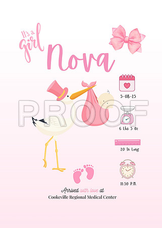 Nova - 1