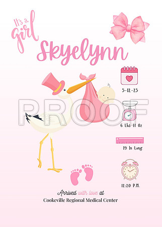 Skyelynn1 - 1