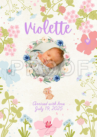 Violette - 1